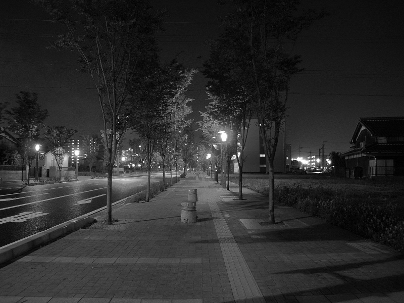 スライドショー